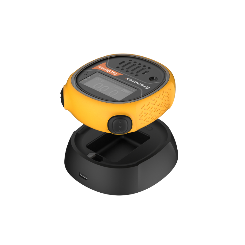 決定氣體檢測儀價(jià)格的因素有哪些？